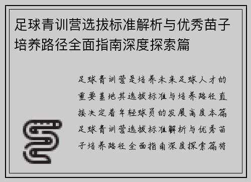 足球青训营选拔标准解析与优秀苗子培养路径全面指南深度探索篇